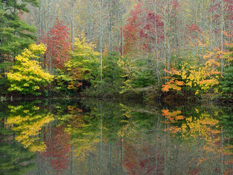 North Carolina Blue Ridge Mountains Fall Foliage